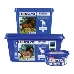 HORSLYX LIZAWKA 5kg ORIGINAL