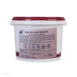 SUKCES ELEKTROLITY 2KG